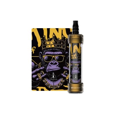 E-CHICHA HOOKAH AIR Mini -FumyTech