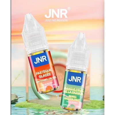 JNR 10ml - 20mg Sel de Nicotine (10pcs)