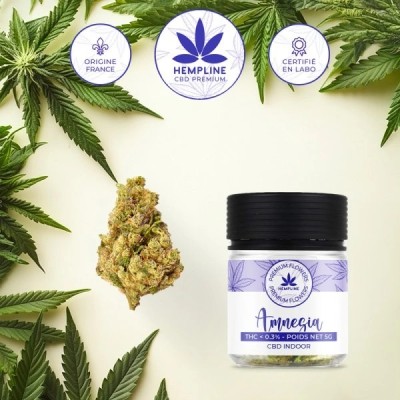 Fleur de CBD - 5g - Hempline