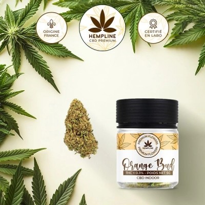 CBD Flower - 5g - Hempline
