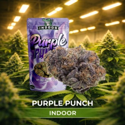 Sachet Indoor CBD - 2g - L'instant Zen