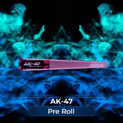 Pre-Roll CBD - 2g - L'instant Zen