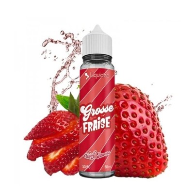 FLAVOR WPUFF 50ML LIQUIDEO